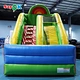 Bouncy Castle